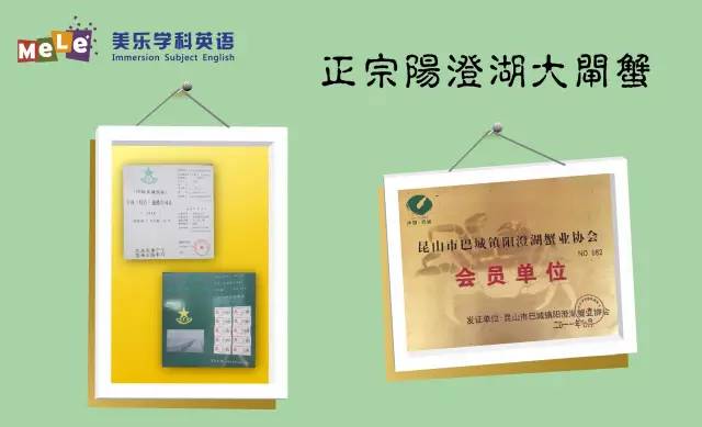 http://mmbiz.qpic.cn/mmbiz/SQiaUICuDWI2nqYYuYX36GUichgDaDN7NeCzoInQne1pRzUTAjzHcelicM8CCmbCFRKYVDFwjiaiaMKtTyS0ES9QMoQ/640?wx_fmt=jpeg&wxfrom=5&wx_lazy=1