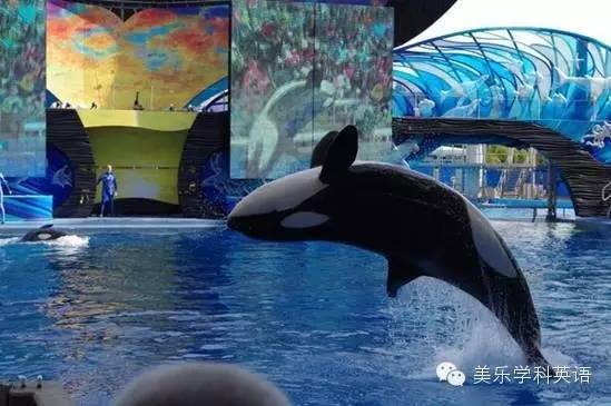 http://mmbiz.qpic.cn/mmbiz/SQiaUICuDWI2oI72dI21SuZYJiaymXTibgKh5ia6NdtUANKjIR2LedJcDJ3TYA7P4Tc0FGm1rT8K2YibYSjYNKxv6lw/640?wx_fmt=jpeg&wxfrom=5&wx_lazy=1